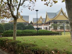 -东方绿舟景区