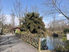 -桤木河湿地公园