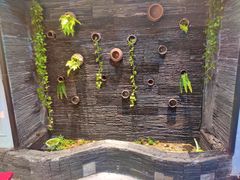 -一只烧鸡公(解放碑店)