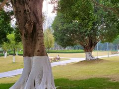 -重庆中央公园(渝北区)