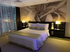 -国家会议中心大酒店