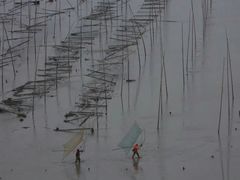 -北岐滩涂