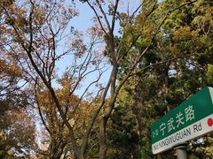 -八大关景区