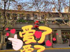 -WHEN PIGS FLY当猪飞