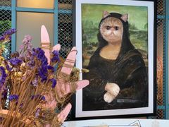 -喵屿·大理花园猫咖