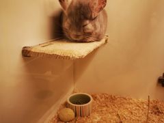 -龙猫仔乐园(惠福东路店)