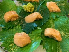 海胆刺身-王鼎精致料理铁板烧(世博源店)