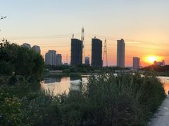 -九里河湿地公园