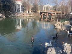 -天毓山庄·餐厅