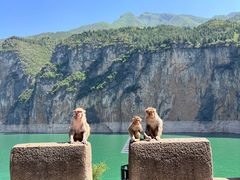 -白帝城·瞿塘峡景区