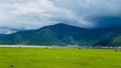 -纳帕海依拉草原