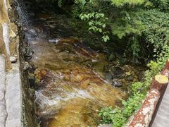 -王顺山国家森林公园