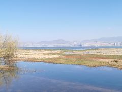 -洱海月湿地公园