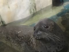 -厦门海底世界