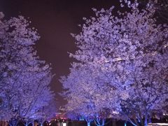 -新天地活力PARK