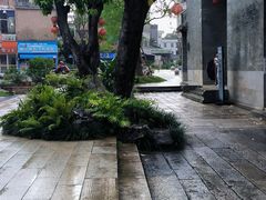 -碧江金楼