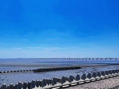 -南汇新城海滩