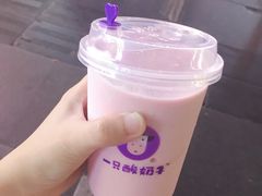 -一只酸奶牛(八一路店)