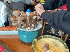 -捞王锅物料理(上海世茂广场店)