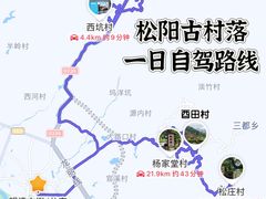 -杨家堂村