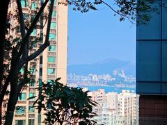 -香港大学
