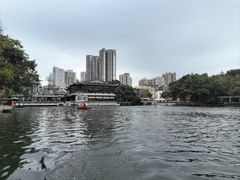 -荔湾湖公园