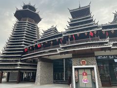 -老凯俚酸汤鱼(多彩城店)