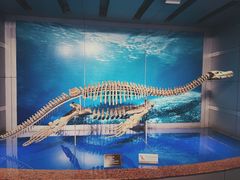 -自贡恐龙博物馆