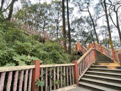 -南山植物园