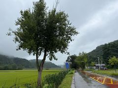 -南泥湾风景区