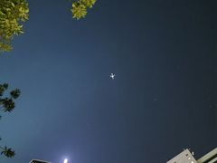 -大馆(前中区警署建築群)