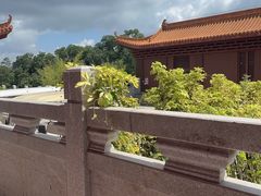 -深圳仙湖植物园