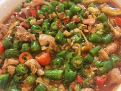 -陈麻婆豆腐总店