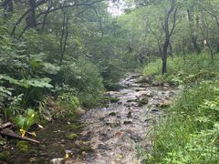 -玉渡山自然风景区