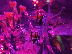 -沈阳海洋探索中心