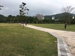 -大屏嶂森林公园