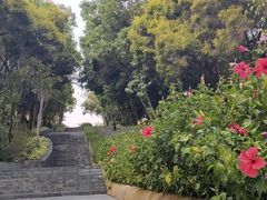 -深圳国际园林花卉博览园