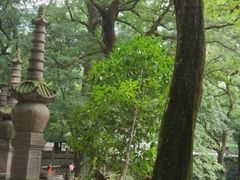 -蒋氏故居