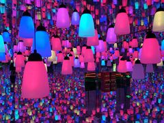 -鄂尔多斯野生动物园