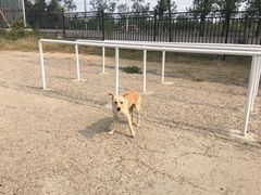 -北京东方普罗旺斯薰衣草庄园