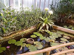 -国家植物园南园