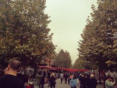 -四川省成都市彭州市白鹿镇