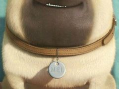 -环球国际影城(天鸿广场LUXE巨幕店)