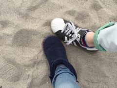 -台场海滨公园船码头