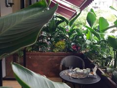 -炉之恋LUZHILIAN(芙蓉汉城总店)