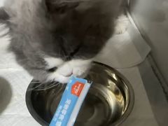-美联众合动物医院·24h京西诊疗中心