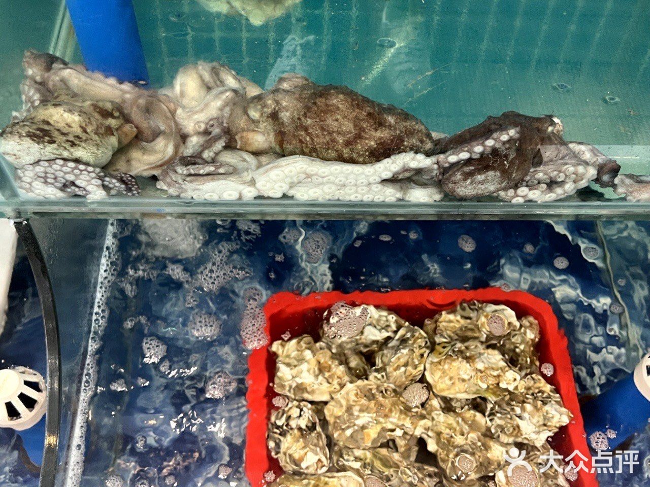 海鲜大餐就是治愈我的快乐源泉💗