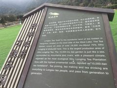 -龙坞茶村