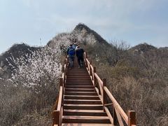 -大岭沟猕猴桃谷风景区