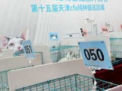 -吾悦广场(天津和平店)